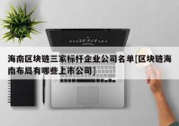 海南区块链三家标杆企业公司名单[区块链海南布局有哪些上市公司]